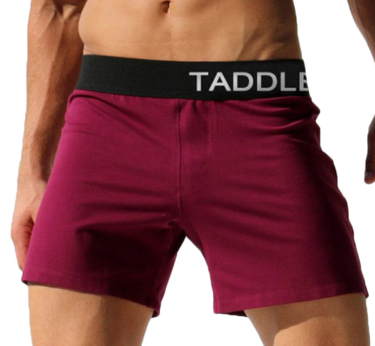 Mens Leisure Shorts Casual Beach Boxer